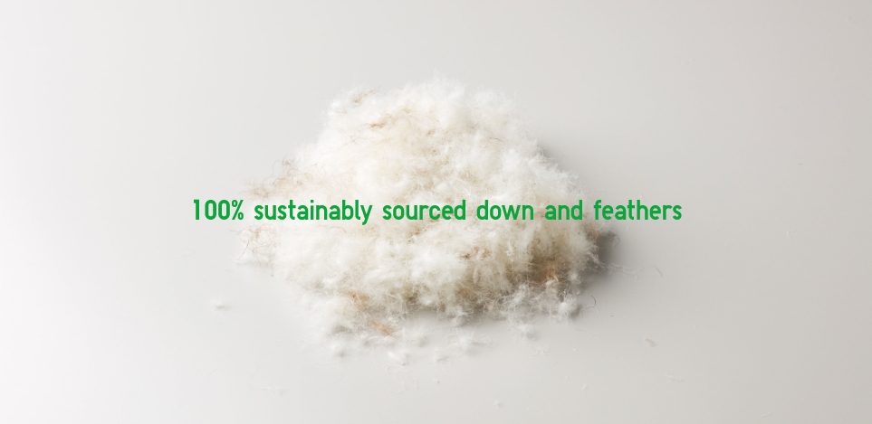 100% sustainably sourced down and feathers