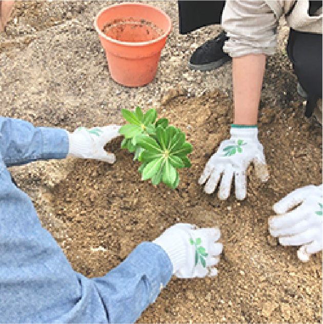 Supporting the Bountiful Hometown 100-year Project