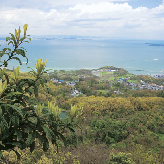 The Setouchi Olive Foundation and UNIQLO