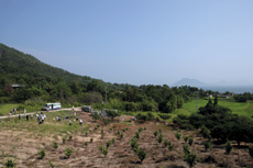 香川県小豆郡　豊島