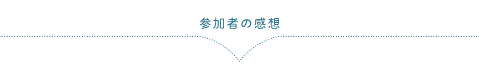 参加者の感想